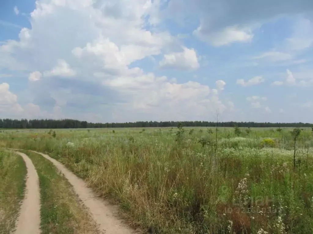 Участок в Владимирская область, Киржачский муниципальный округ, д. ... - Фото 2