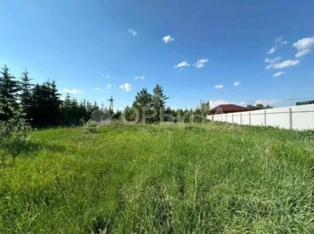 Участок в Тюменская область, Тюменский муниципальный округ, с. ... - Фото 1