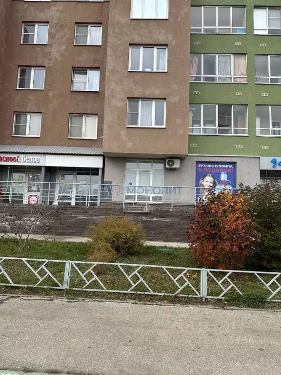 Торговая площадь в Нижегородская область, Нижний Новгород ул. ... - Фото 1