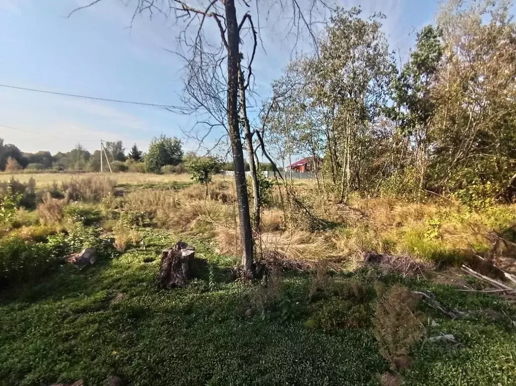 Участок в Новгородская область, Боровичи Западный мкр,  (11.0 сот.) - Фото 0