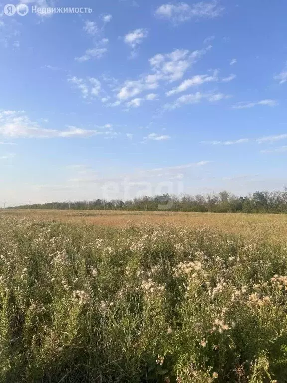 Участок в хутор Красный Крым, Родионовская улица (5 м) - Фото 2