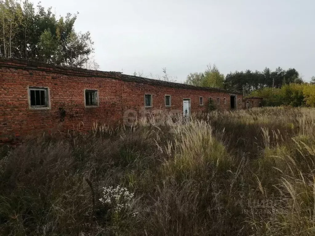 Склад в Брянская область, Клинцовский район, пос. Первое Мая ул. ... - Фото 1