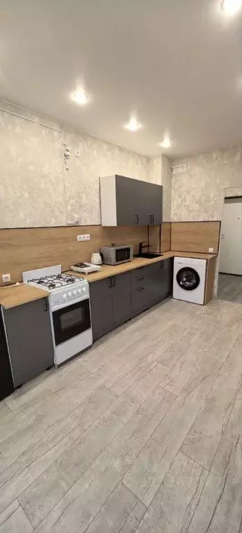 1-к кв. Псковская область, Псковский район, Завеличенская волость, д. ... - Фото 2