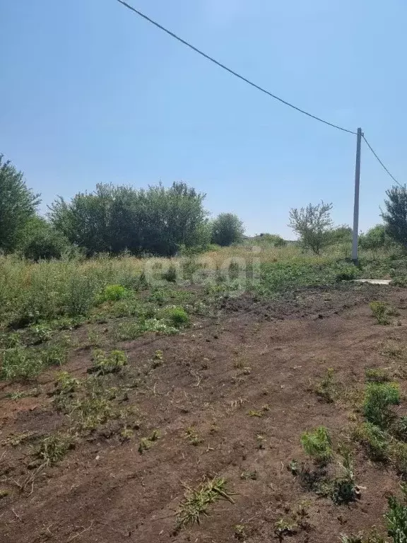 Участок в Белгородская область, Белгородский район, Дубовское с/пос, ... - Фото 0