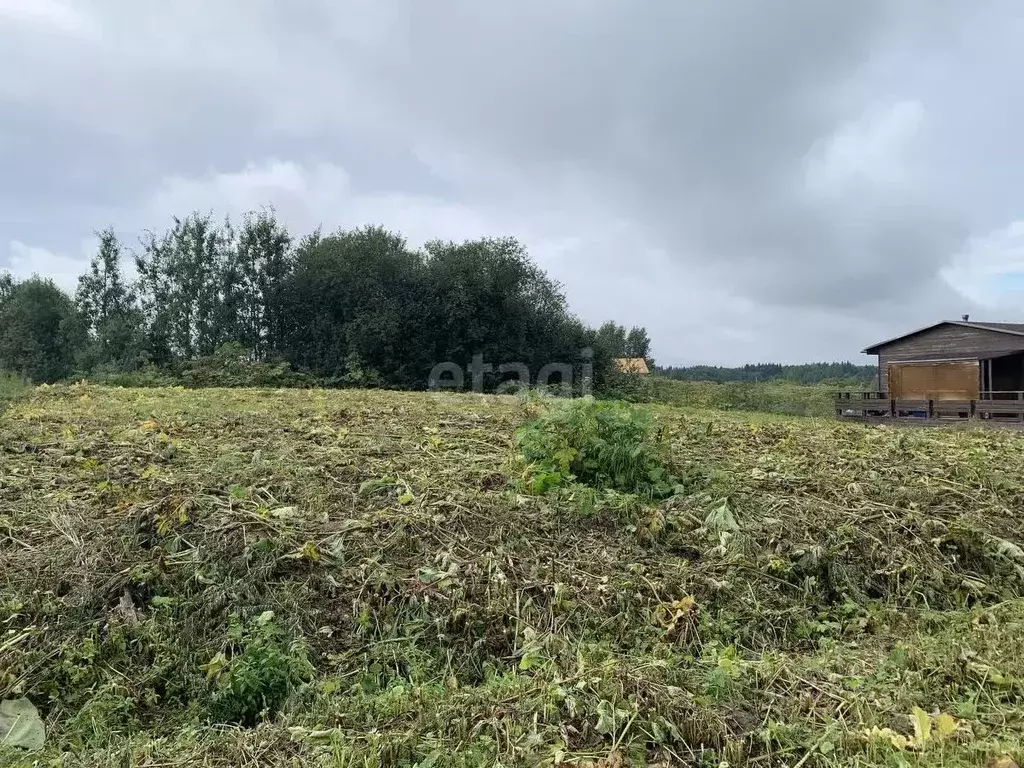 Участок в Коми, Сыктывдинский район, с. Выльгорт  (11.0 сот.) - Фото 1