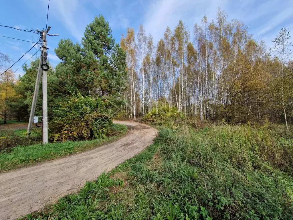 Участок в Московская область, Щелково городской округ, д. Сутоки ул. ... - Фото 2