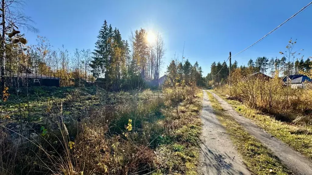 Участок в Ленинградская область, Всеволожский район, Свердловское ... - Фото 1