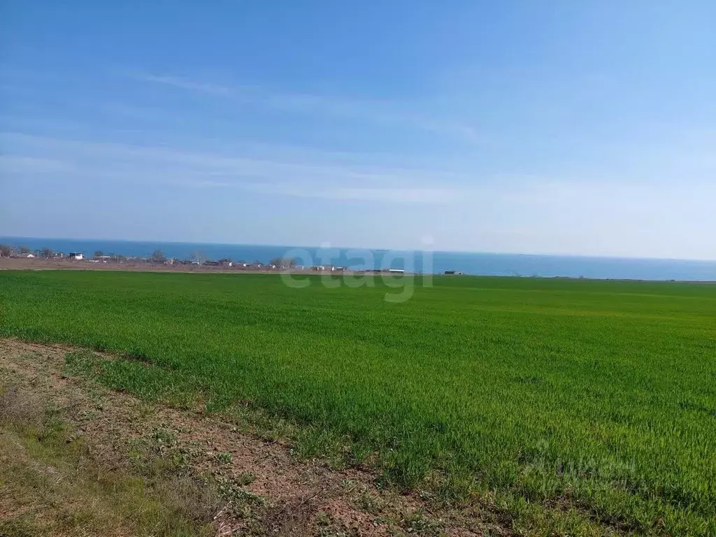 Участок в Крым, Ленинский район, Челядиновское с/пос, с. Челядиново ... - Фото 1