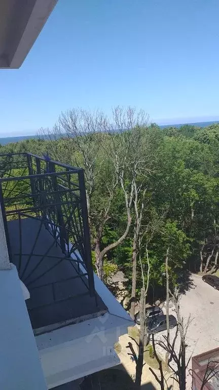 1-к кв. Калининградская область, Зеленоградск Московская ул., 68 (40.0 ... - Фото 1