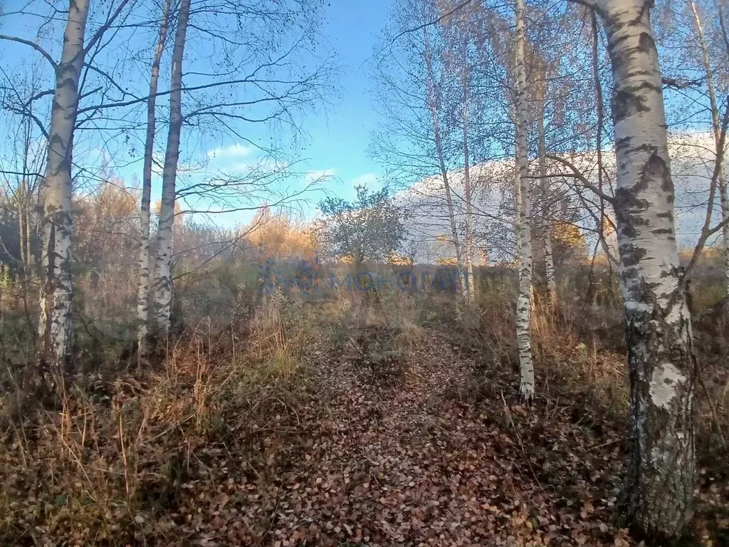 Участок 10 сот. (СНТ, ДНП) - Фото 1