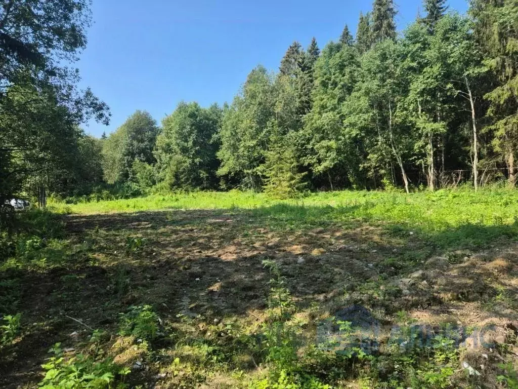 Участок в Ленинградская область, Гатчинский муниципальный округ, д. ... - Фото 2