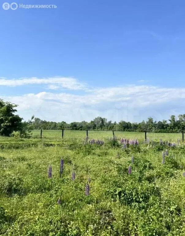 Участок в Чишминский район, Ибрагимовский сельсовет, садовые участки ... - Фото 2