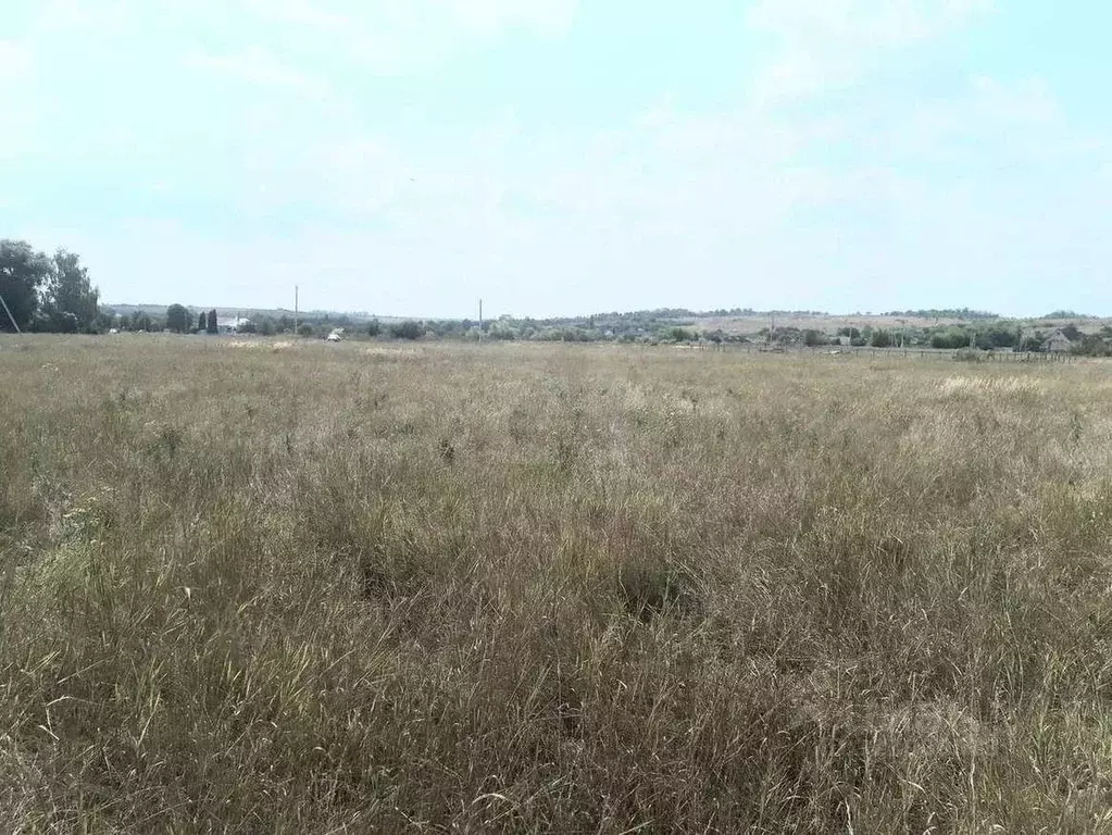 Участок в Воронежская область, Хохольский район, с. Гремячье Садовая ... - Фото 1