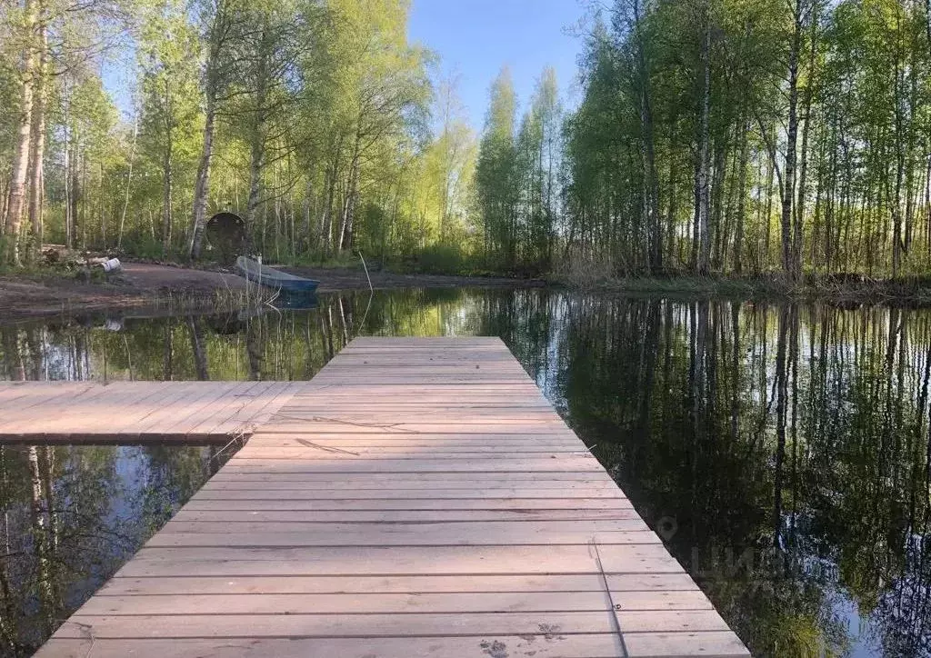 Дом в Ленинградская область, Приозерский район, Ромашкинское с/пос, ... - Фото 1