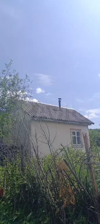 Участок 4 сот. (СНТ, ДНП) - Фото 1