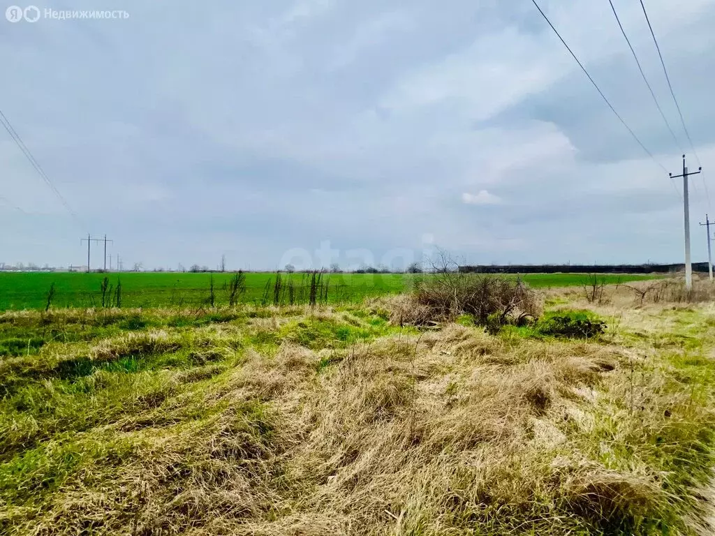 Участок в Чегемский район, село Шалушка (380 м) - Фото 2