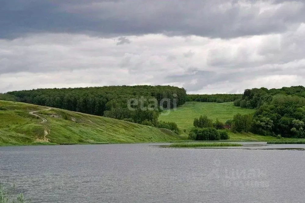 Участок в Тульская область, Липки г. Киреевский район, Липки ... - Фото 1