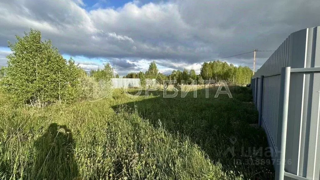 Участок в Тюменская область, Нижнетавдинский район, Геолог-2 СНТ 5-я ... - Фото 1