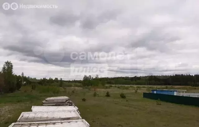 Участок в Московская область, муниципальный округ Егорьевск, деревня ... - Фото 1