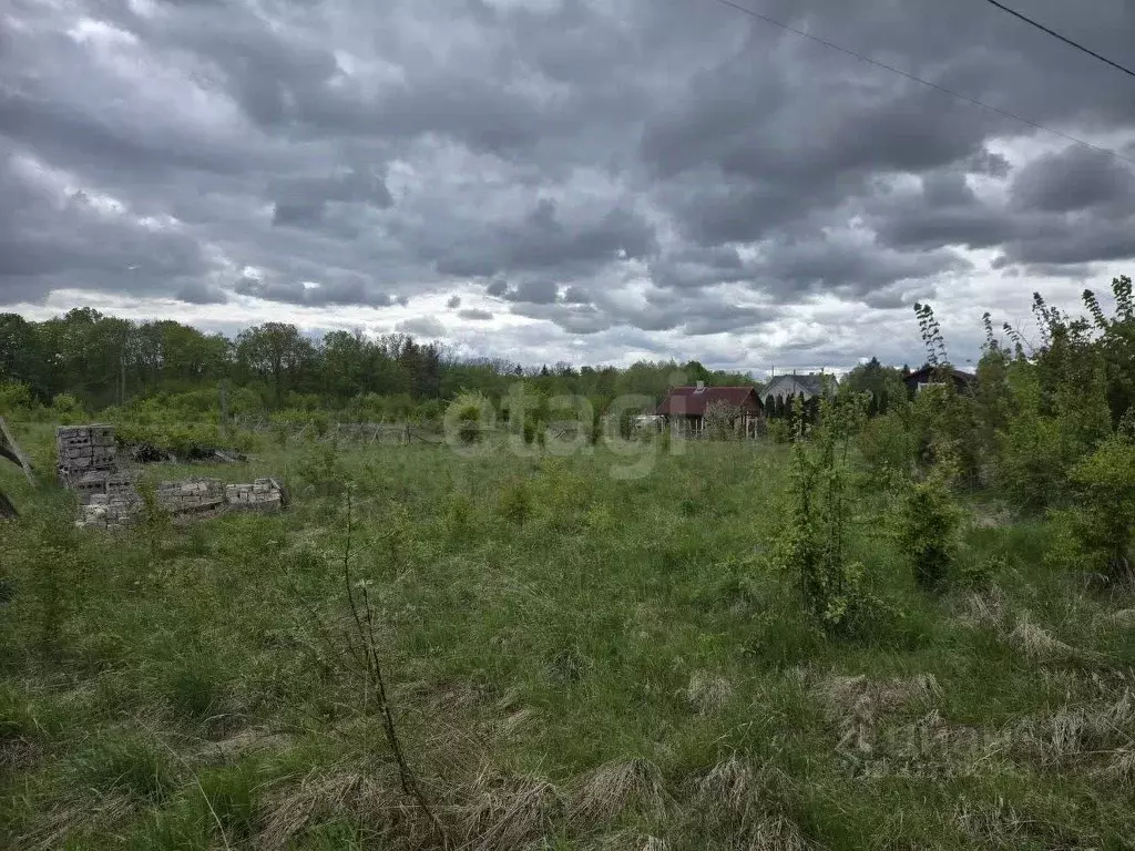 Участок в Калининградская область, Неманский муниципальный округ, пос. ... - Фото 0