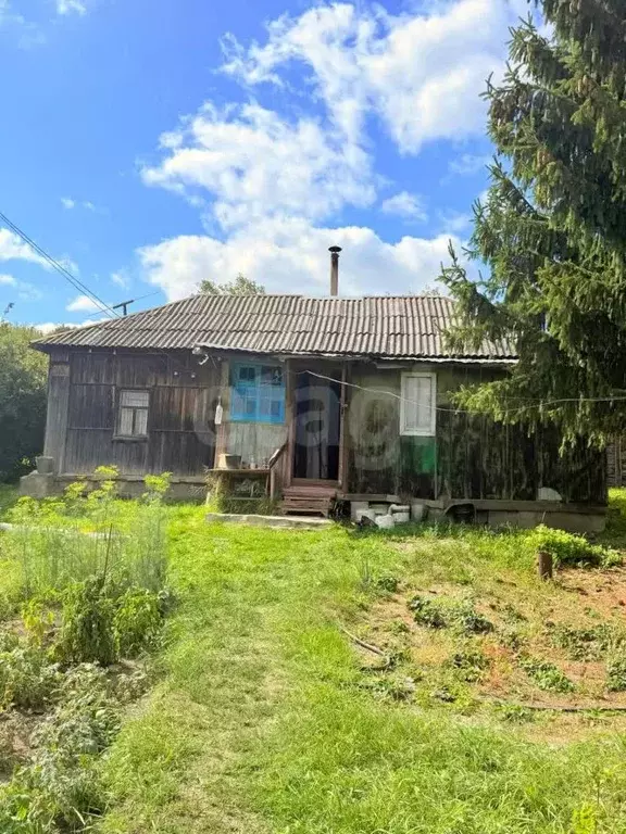 Дом в Воронежская область, Хохольский район, с. Борщево  (31 м) - Фото 1