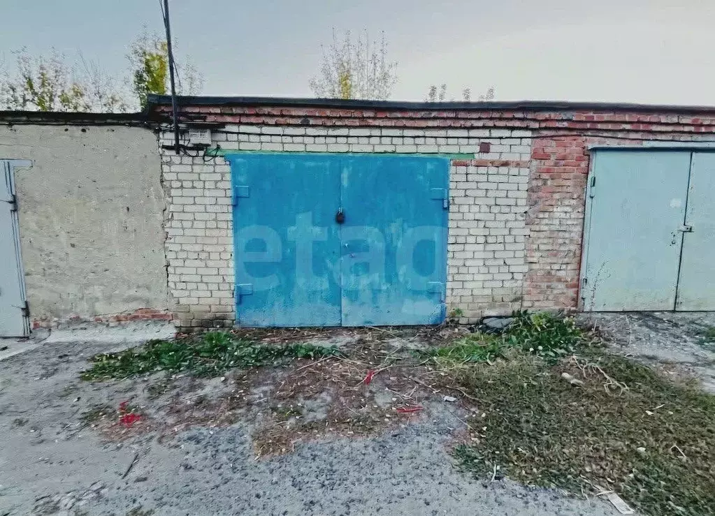Гараж в Белгородская область, Губкин ГСК Березка-1 тер., № 4 блок, 55 ... - Фото 2
