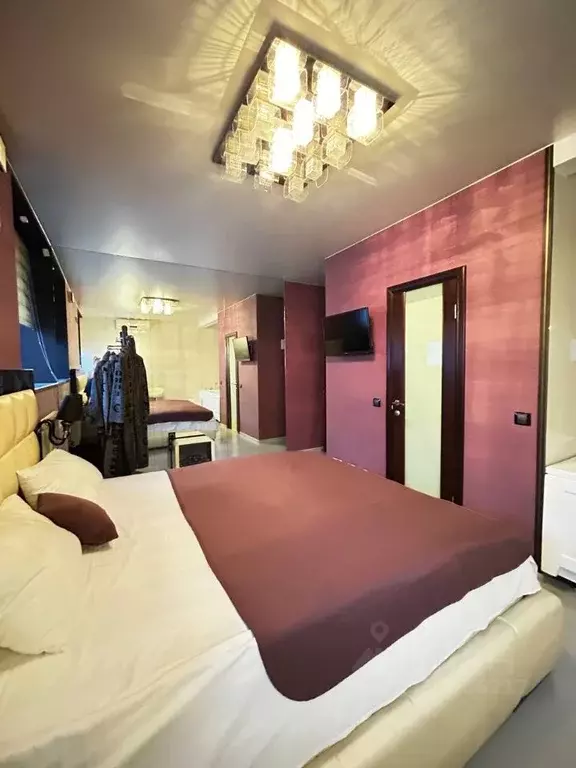 Студия Санкт-Петербург просп. Луначарского, 96К2 (20.0 м) - Фото 1
