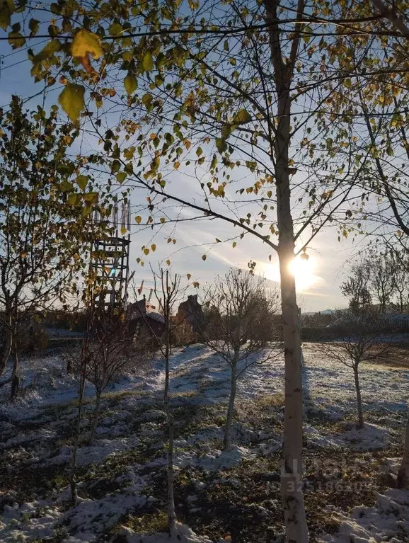 Участок в Алтайский край, Белокуриха Советская ул., 92 (359.0 сот.) - Фото 0