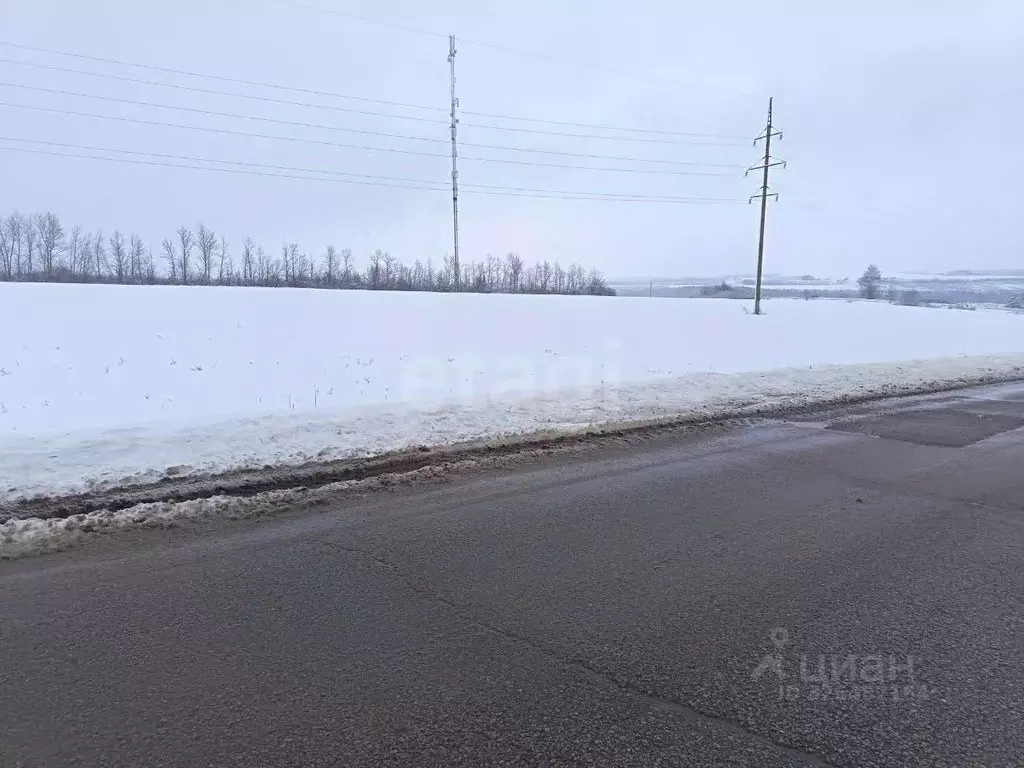 Участок в Белгородская область, Красногвардейский район, Ливенское ... - Фото 2