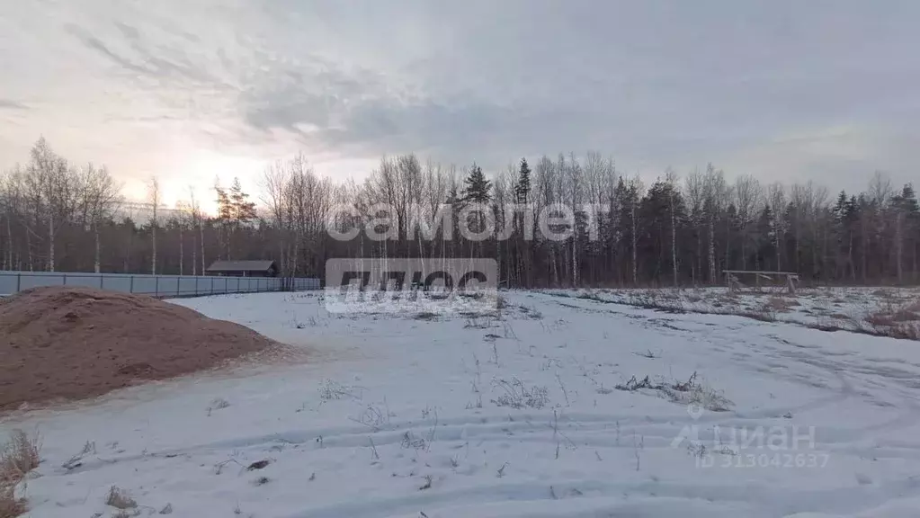 Участок в Ленинградская область, Ломоносовский район, Горбунковское ... - Фото 1