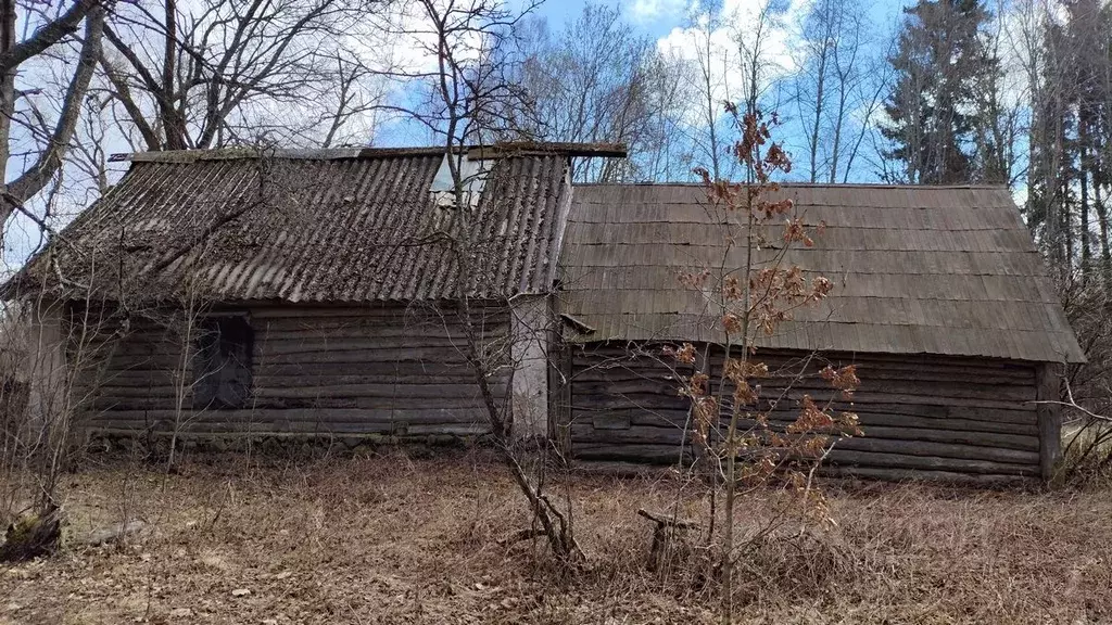 Дом в Псковская область, Порховский муниципальный округ, д. ... - Фото 1