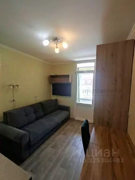 Студия Московская область, Ленинский городской округ, Лопатино пгт ул. ... - Фото 2