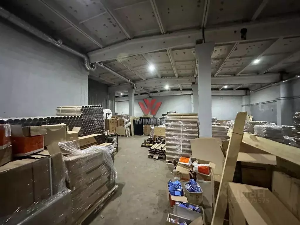 Склад в Нижегородская область, Нижний Новгород ул. Шекспира, 1Бк4 (297 ... - Фото 1