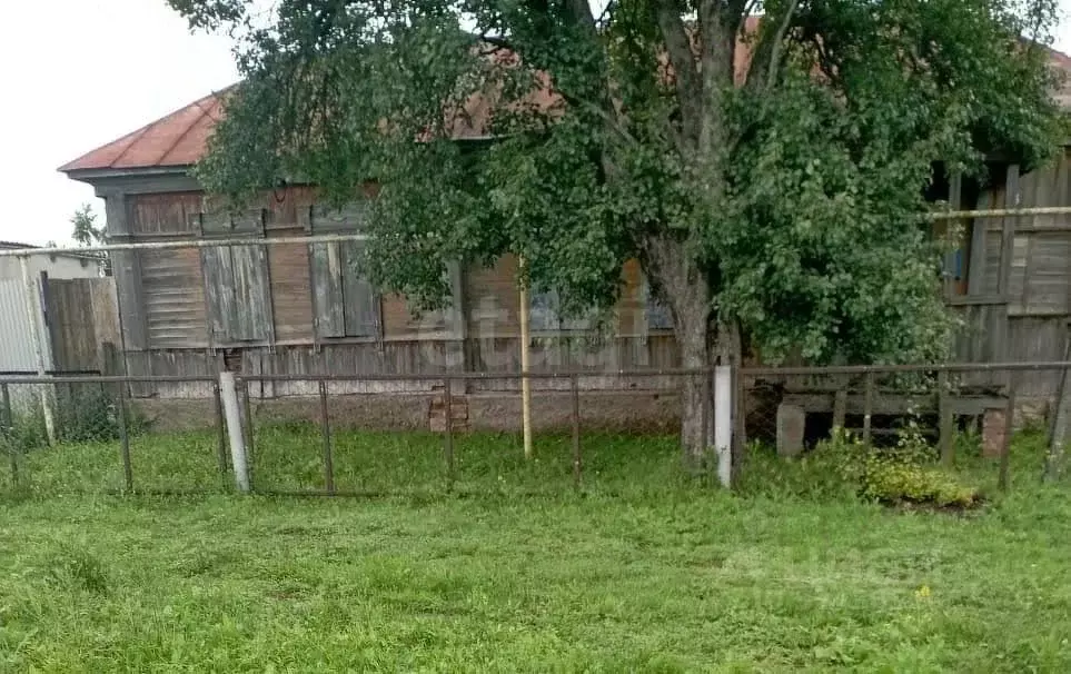 Дом в Воронежская область, Борисоглебский городской округ, с. Тюковка ... - Фото 1