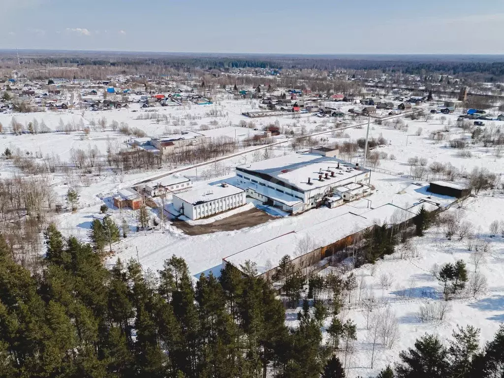 Склад в Ярославская область, Любим ул. Смирнова, 10 (5181 м) - Фото 1