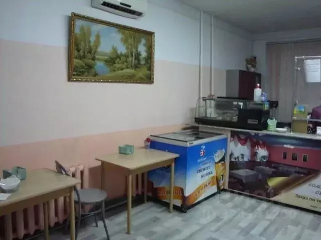 Помещение свободного назначения в Пермский край, Чернушка ... - Фото 1