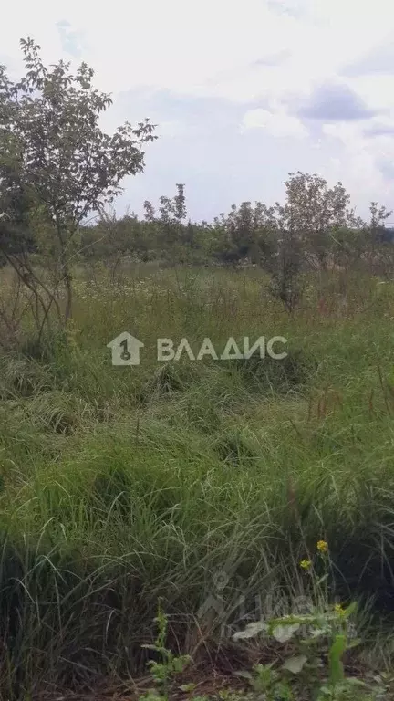 Участок в Воронежская область, Рамонский район, Новоживотинновское ... - Фото 2