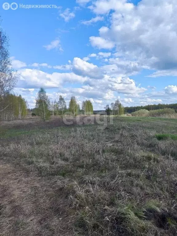 Участок в Курганская область, Кетовский муниципальный округ, деревня ... - Фото 1