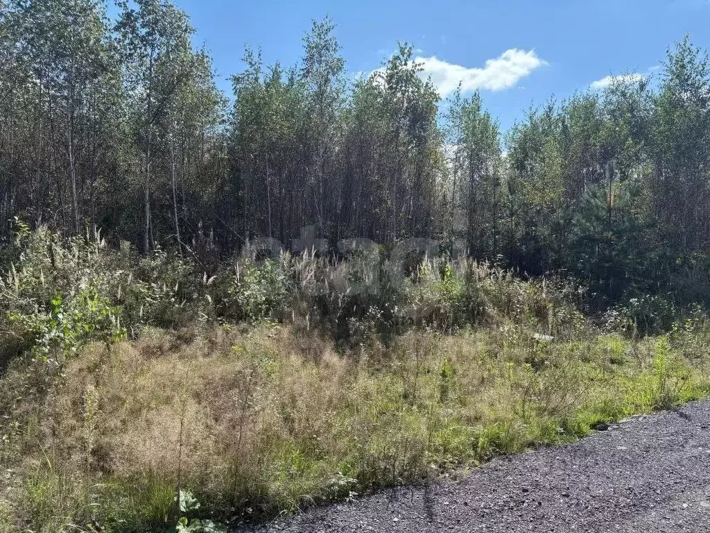 Участок в Московская область, Солнечногорск городской округ, д. ... - Фото 1