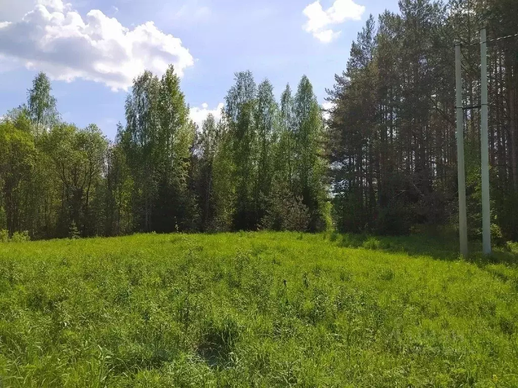 Участок в Вологодская область, Усть-Кубинский муниципальный округ, д. ... - Фото 1