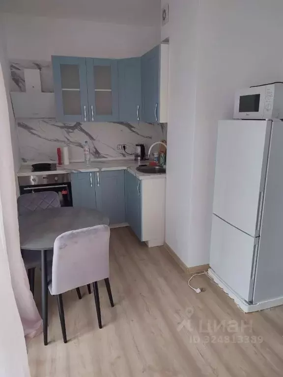 Студия Ленинградская область, Всеволожский район, Заневское городское ... - Фото 1