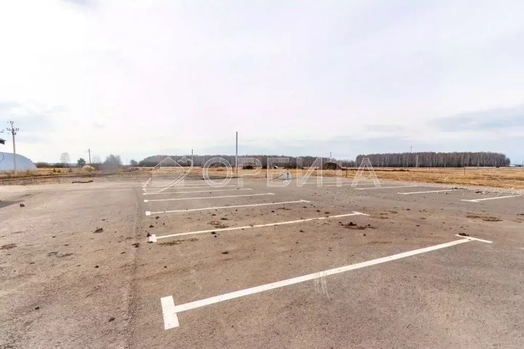 Участок в Свердловская область, Тугулымский муниципальный округ, с. ... - Фото 2