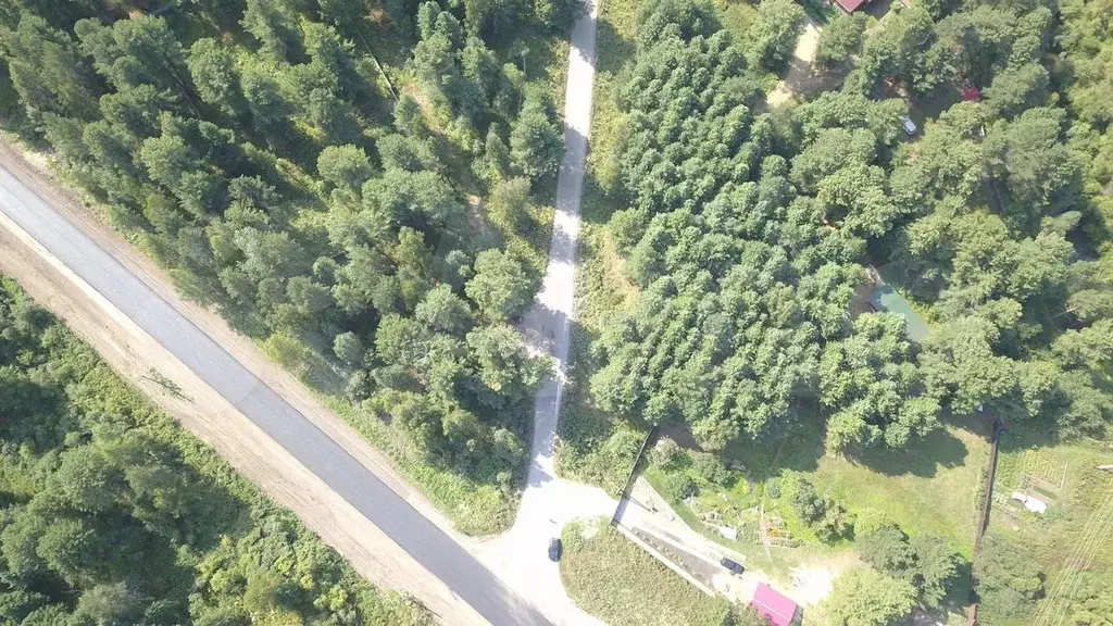 Участок 10 сот. (СНТ, ДНП) - Фото 1