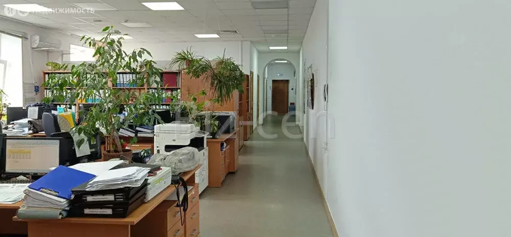 Офис (29.7 м) - Фото 2