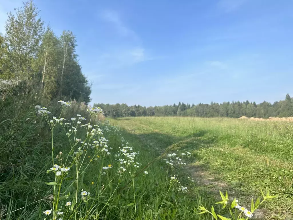 Участок в Московская область, Пушкинский городской округ, д. ... - Фото 0