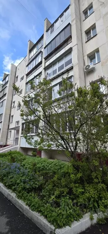 3-к кв. Челябинская область, Челябинск ул. Ковшовой, 2 (64.0 м) - Фото 2