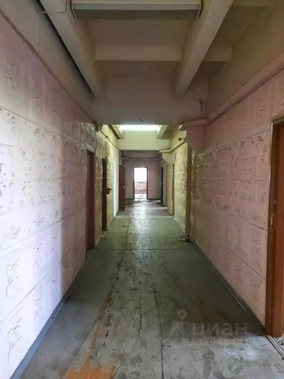 Торговая площадь в Самарская область, Тольятти Северная ул., 49 (468 ... - Фото 2