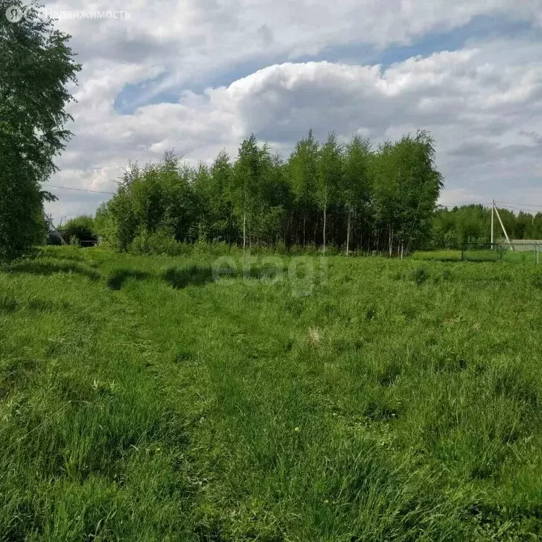 Участок в Ермаково, деревня Прокунино (8.7 м) - Фото 0