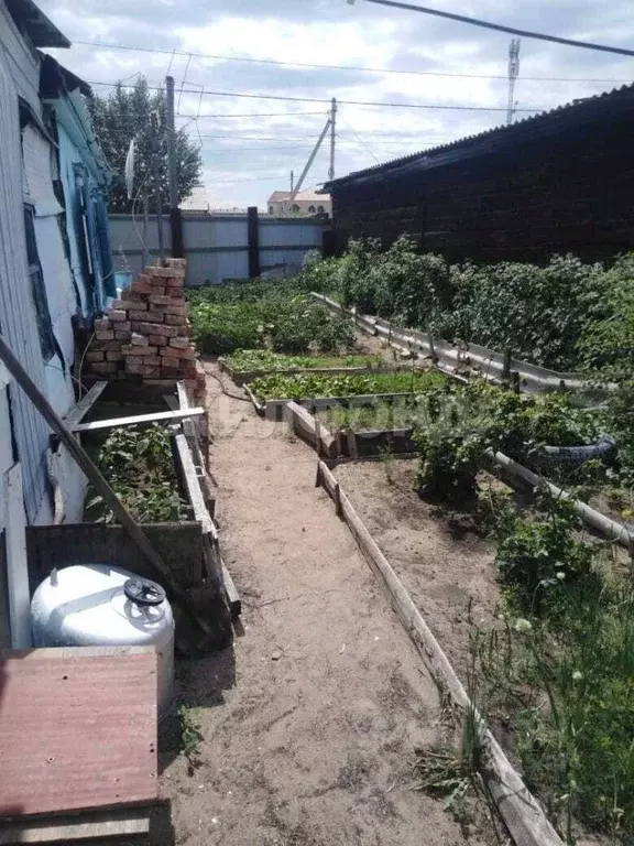 Дом в Забайкальский край, Борзя ул. Метелицы (66 м) - Фото 1