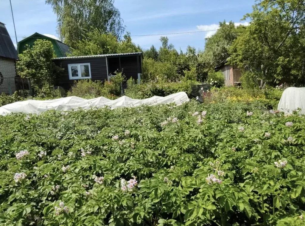 Дача 40 м на участке 5 сот. - Фото 1